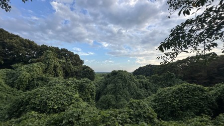 IMG_1342