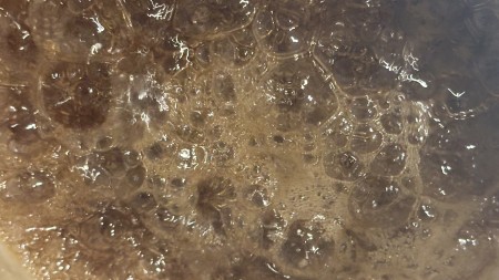 IMG_1940