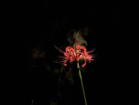 IMG_2132
