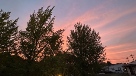 IMG_2540