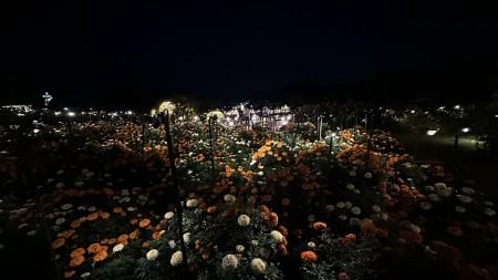 IMG_2638