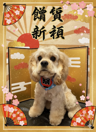 ０’Malley謹賀新年