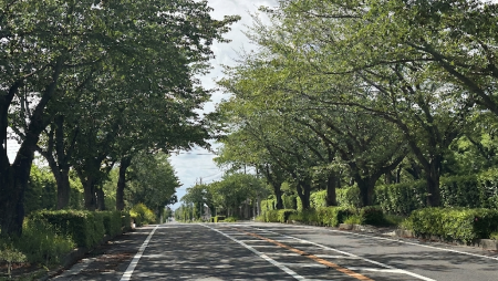 Gemini_Generated_Image_158a8r158a8r158a