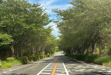 Gemini_Generated_Image_9ontgu9ontgu9ont