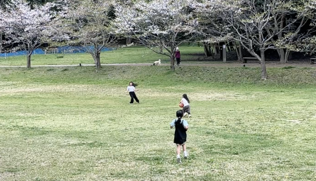 スクリーンショット 2026-04-06 21.26.13