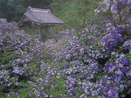 messageImage_1775739369945