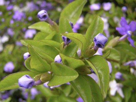 messageImage_1775739431430