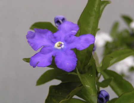 messageImage_1775739455823