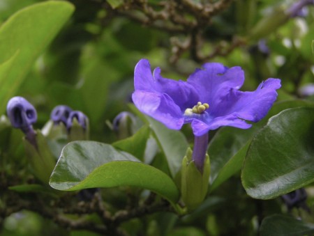 messageImage_1775739504200