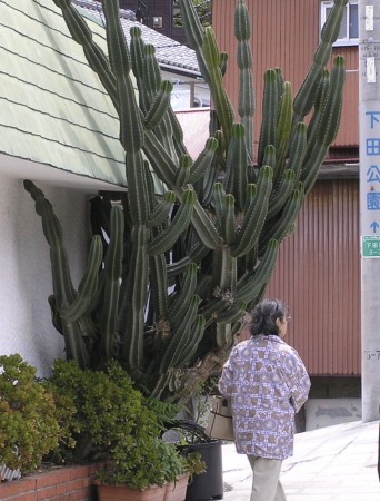 messageImage_1775739623072