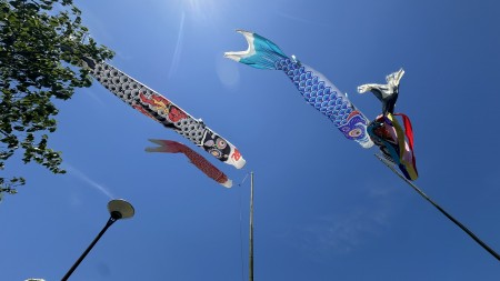 IMG_7701