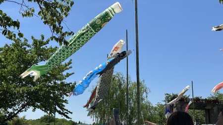 IMG_7702