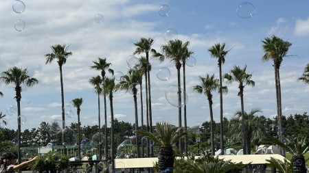 IMG_8669