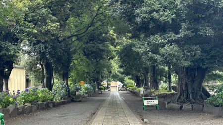 IMG_8977