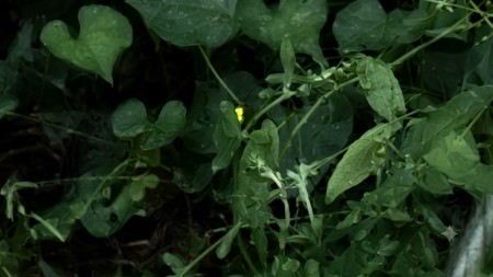 Unknown-3