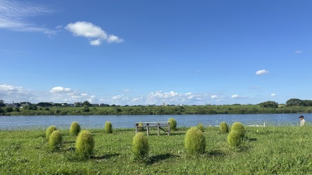 IMG_0585