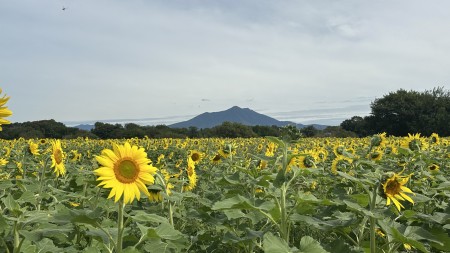 IMG_1516
