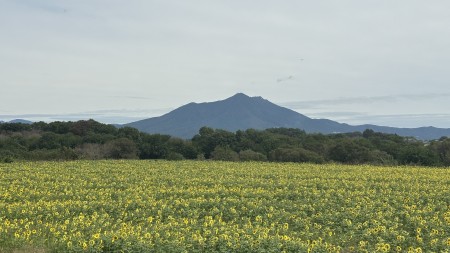 IMG_1524