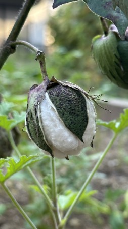 IMG_1720