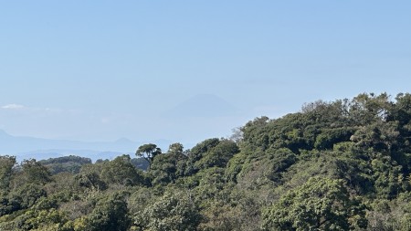 IMG_1768