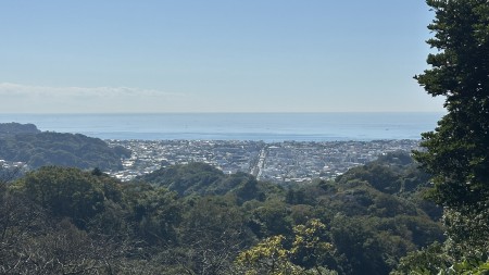 IMG_1771