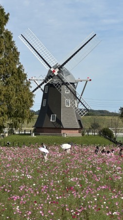 IMG_1892